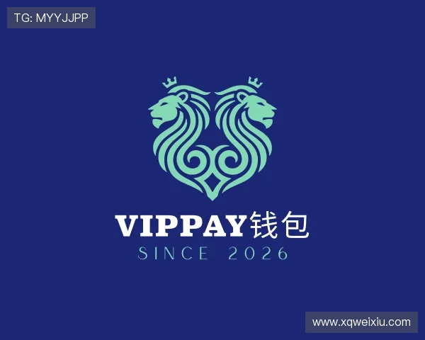 关于VipPay钱包